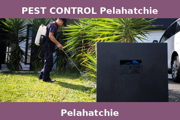 PEST CONTROL Pelahatchie
